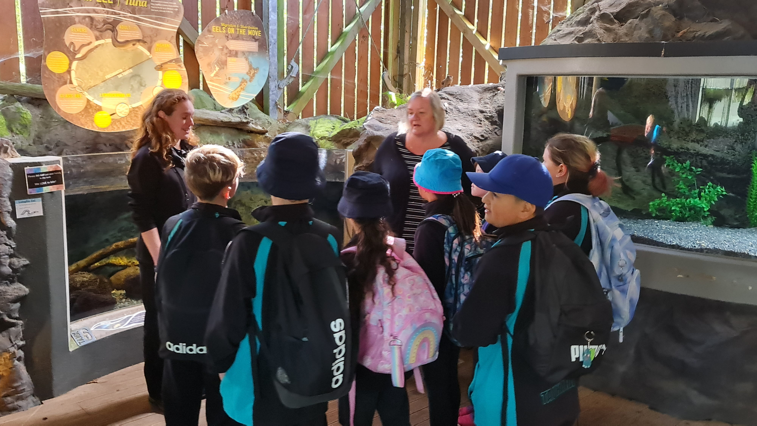 Schools & Tour Groups